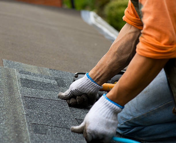 Best Gutter Installation and Roofing  in Russellville, KY